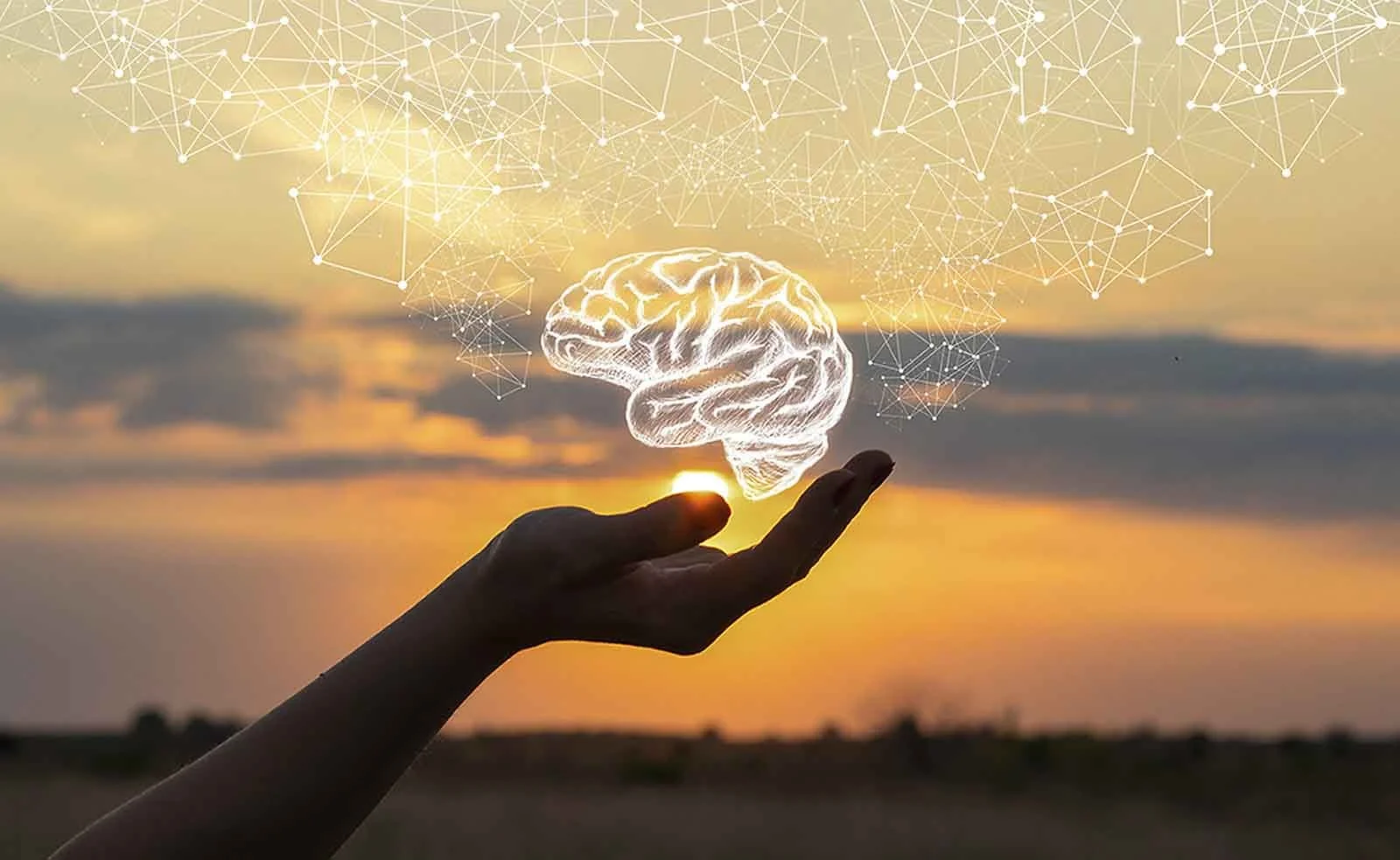 Mental wellness